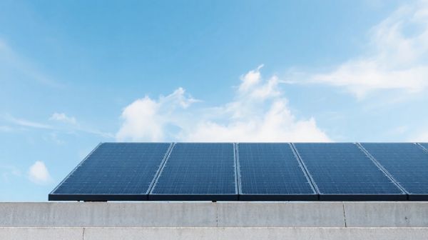 Top 5 panneaux solaires photovoltaïques recommandés pour 2025